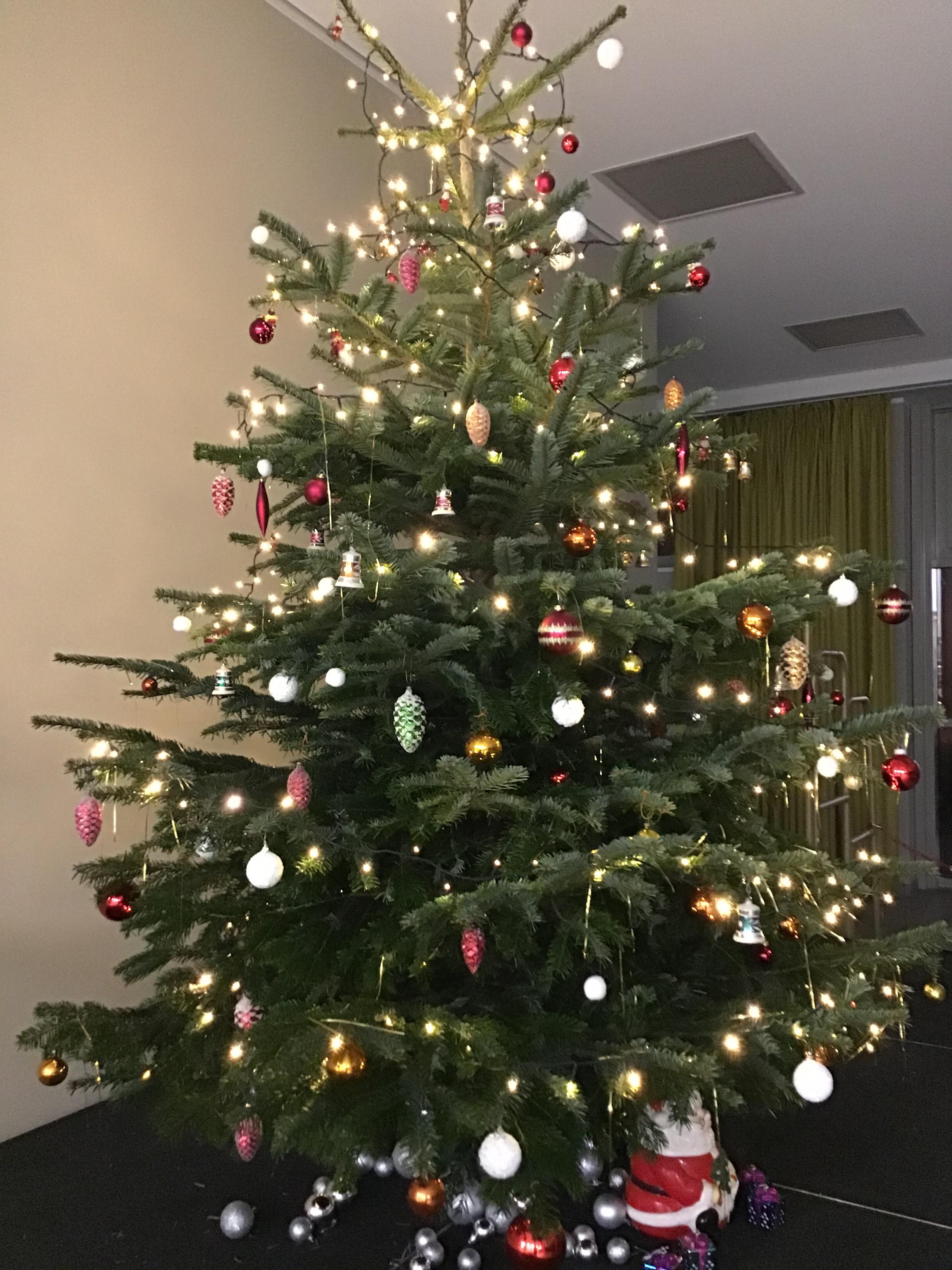 Weihnachtsbaum